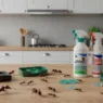 Featured image showing ant killer solutions for effective home pest control, including bait stations and gels – perfect for eliminating indoor ant infestations.