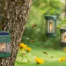 A selection of modern bee trap and hornet traps set up in a backyard garden, showing effective bee wasp control methods in action. Includes solar-powered and eco-friendly trap options.